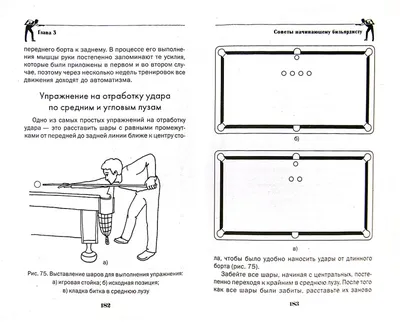 ➔ Книга Азбука бильярда для начинающих. Шнуровозов Т.В. купить ↗ со скидкой  в Москве, сейчас акция ✈ доставка по Московской области бесплатно, звоните  +7 (499) 350-56-57 ☎, всегда низкие цены на товары раздела - Литература и  dvd!