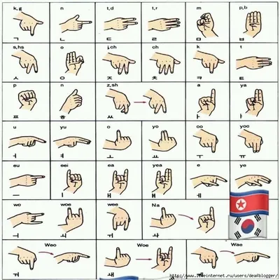 Sign language #guide | Asl learning, Sign language basics, Sign language  phrases