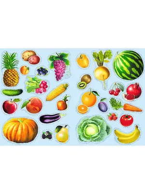 Праздничный набор "Ягоды и фрукты азбука плакат А3 + облепиховые желейные  конфеты" - ZELT