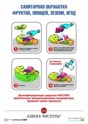 Иллюстрация Фрукты-овощи для азбуки-раскраски (выборка). в стиле