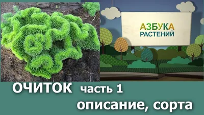 Грунт Азбука роста, для цветочных культур, 25 л, Фабрика грунтов в  Ставрополе: цены, фото, отзывы - купить в интернет-магазине Порядок.ру