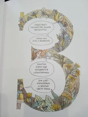 Юлия Никитина "Азбука Северных растений" : @brainsmarket wish