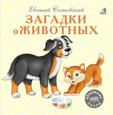 Проектная работа в 1 классе.Проект "Азбука загадок"