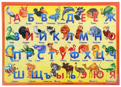 Геодом, Плакат дидактический, Азбука. Животные, 450х640 мм, 3 штуки -  купить с доставкой по выгодным ценам в интернет-магазине OZON (843826361)