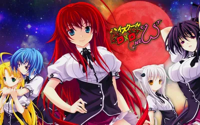 Highschool Dxd Asia Argento Android Обои — Wallpaper Cave