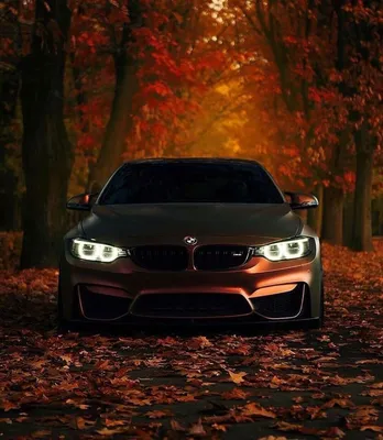 BMW 5 — Википедия