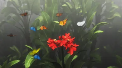 8 Марта в гостях у тропических бабочек