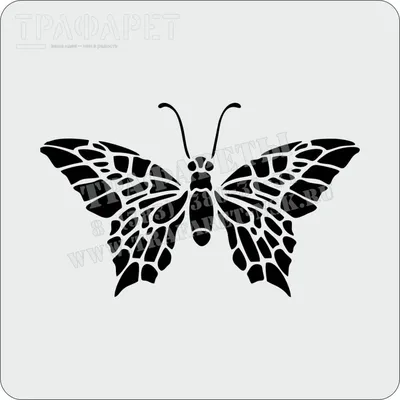Бабочка — трафарет для декорирования | Купить трафарет 8 (383) 380-31-31