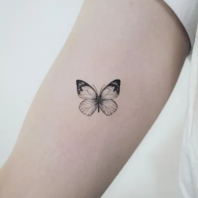 Красивая бабочка сидит на женской руке на открытом воздухе :: Стоковая  фотография :: Pixel-Shot Studio