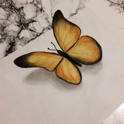DaMaNi Бабочки 3д золотистые с фоном