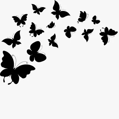 Бабочки для срисовки черно белые - 73 фото