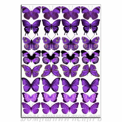 бабочки розовые #бабочкитагуи #розовыебабочки #бабочкикрасивые | Бумажные  бабочки, Трафаретные надписи, Свадебные подарочные коробки