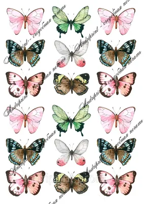 Идеи на тему «Бабочки для печати» (25) | бабочки, крылья бабочки, шаблоны  печати