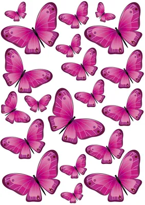 Бабочки картинки для торта фиолетовые - 70 фото