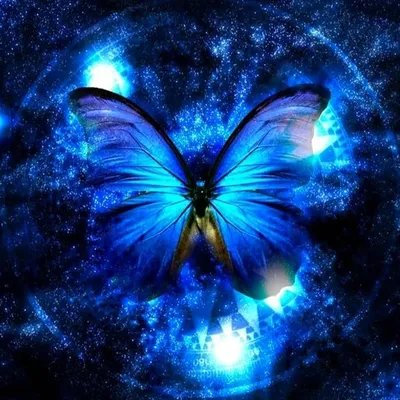 Животные, #Насекомые, #Бабочки, #аватары, #картинки, #авы,  /kartinka/6544 | Butterfly wallpaper, New wallpaper hd,  Android wallpaper