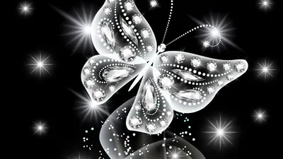 серая и синяя бабочка на черном фоне, красивые перья бабочки огомадара  белая спинка, Hd фотография фото, бабочка фон картинки и Фото для  бесплатной загрузки