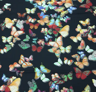 Бабочки картинки красивые на телефон - 65 фото