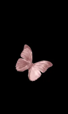 Рисунок ночной бабочки - 70 фото