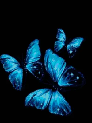 Бабочки на черном фоне #46