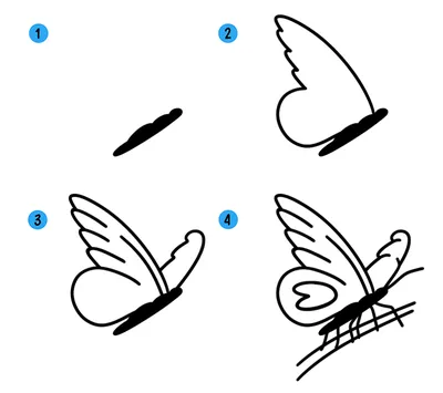 Бабочка на цветке рисунок карандашом - 65 фото