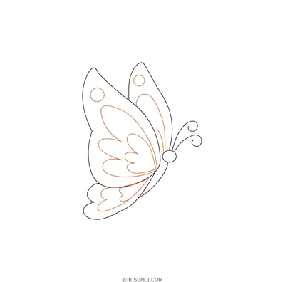 Как Нарисовать Бабочку Для Детей (50 Фото)