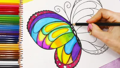 Бабочки картинки рисунки карандашом - 78 фото