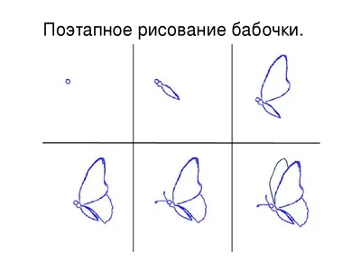 Рисунок бабочка карандашом поэтапно - 64 фото