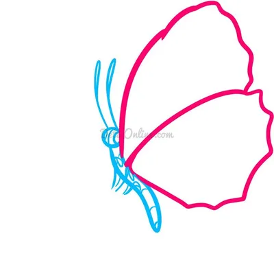 Бабочка, цветные карандаши | Пикабу