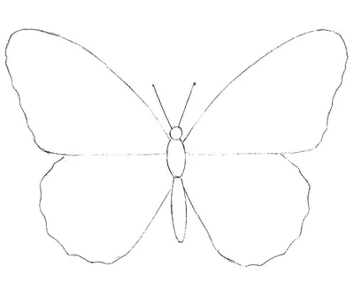 Бабочка рисунок - 73 фото