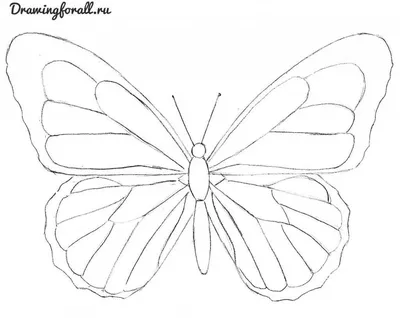 Бабочки рисунки картинки