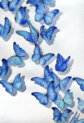 Бабочки | Borboletas desenho, Pintura de borboleta, Borboleta rosa