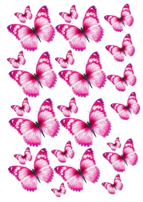 Рисунки бабочек легкие - 55 фото