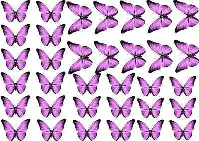 Красота в глазах смотрящего: самые красивые бабочки в мире» — создано в  Шедевруме