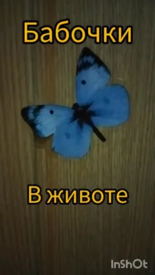 Бабочки в животе...