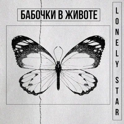 Бабочки в животе - Single - Album by Lonely Star - Apple Music