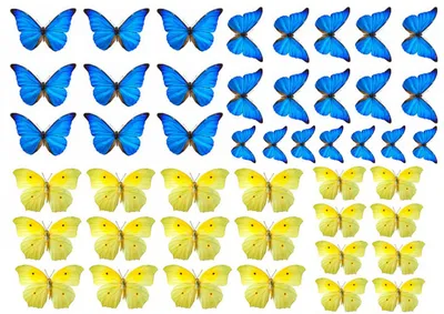 нежно фиолетовые бабочки | Бумажные бабочки, Трафареты для печати, Бабочки