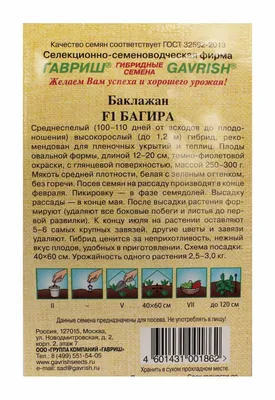 Частное охранное предприятие в Нижнем Новгороде — ЧОП Багира