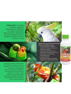 Натуральный продукт для комнатных птиц "Байкал ЭМ-2" ЭМ Центр 12398556  купить в интернет-магазине Wildberries