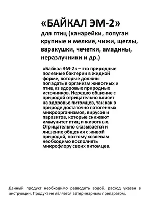 1 апреля – День птиц. В библиотеке прошёл литературно-экологические час —  Иркутская областная детская библиотека имени Марка Сергеева