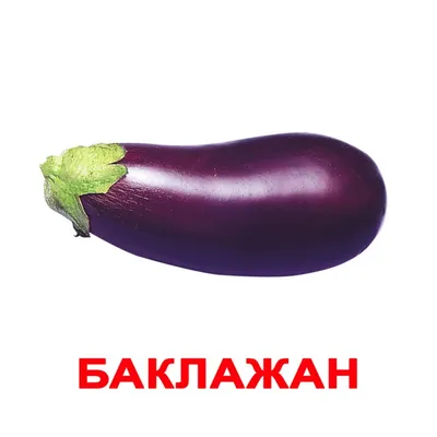 Баклажан (Solanum melongena) - PictureThis