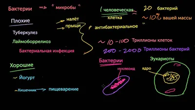 Мир вокруг нас. Бактерии, Алина Котка, Кристал Бук купить книгу  978-966-987-539-6 – Лавка Бабуин, Киев, Украина