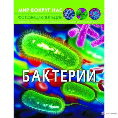 Бактериофаги смогли победить больничные бактерии, устойчивые к антибиотикам  - ФармМедПром