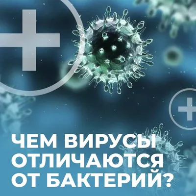 БАКТЕРИИ vs ВИРУСЫ - Клиника в Праге MEDICA MENTE