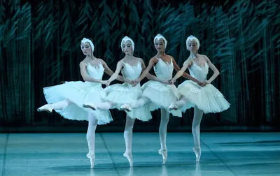 Впервые на пущинской сцене – балет «Лебединое озеро». ФОТО