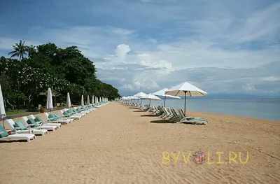 В каких условиях живут 🌞 русские-переселенцы на Бали 🌊