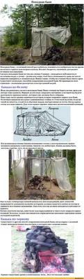 Картинки смешные банные (55 фото) » Юмор, позитив и много смешных картинок