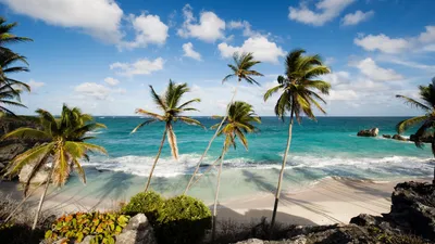 Best road trips in Barbados - Lonely Planet