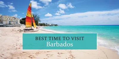 This is The Best Time to Visit Barbados In 2024