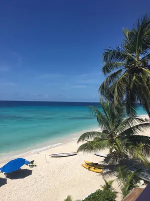 All you need to know about Barbados