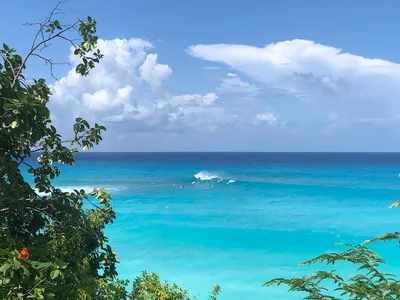 Barbados travel guide: all you need to know - Times Travel